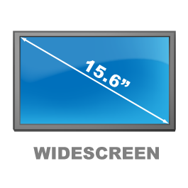 15.6" Wide Screen Protector 