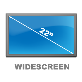 Protect Screen Size 22